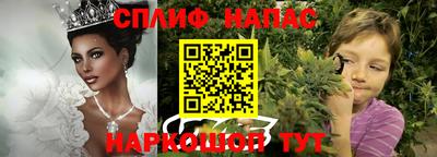 шишки Моздок